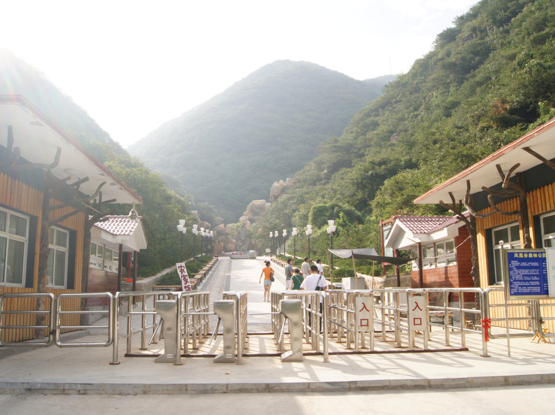 凤凰谷森林公园