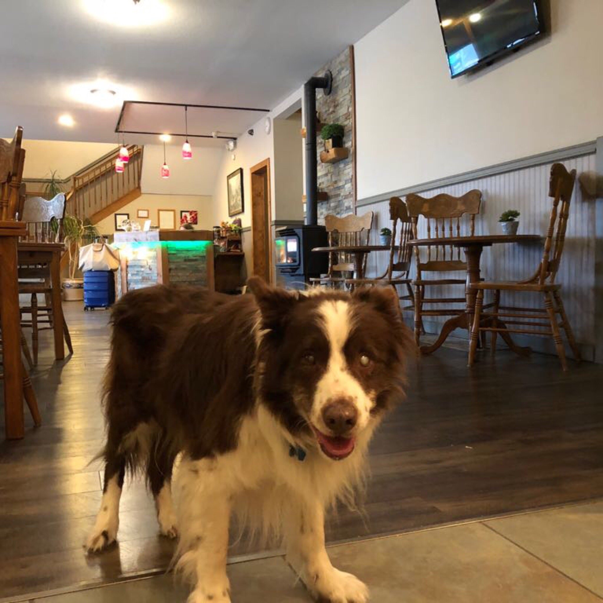 Timber Lodge Inn-官方