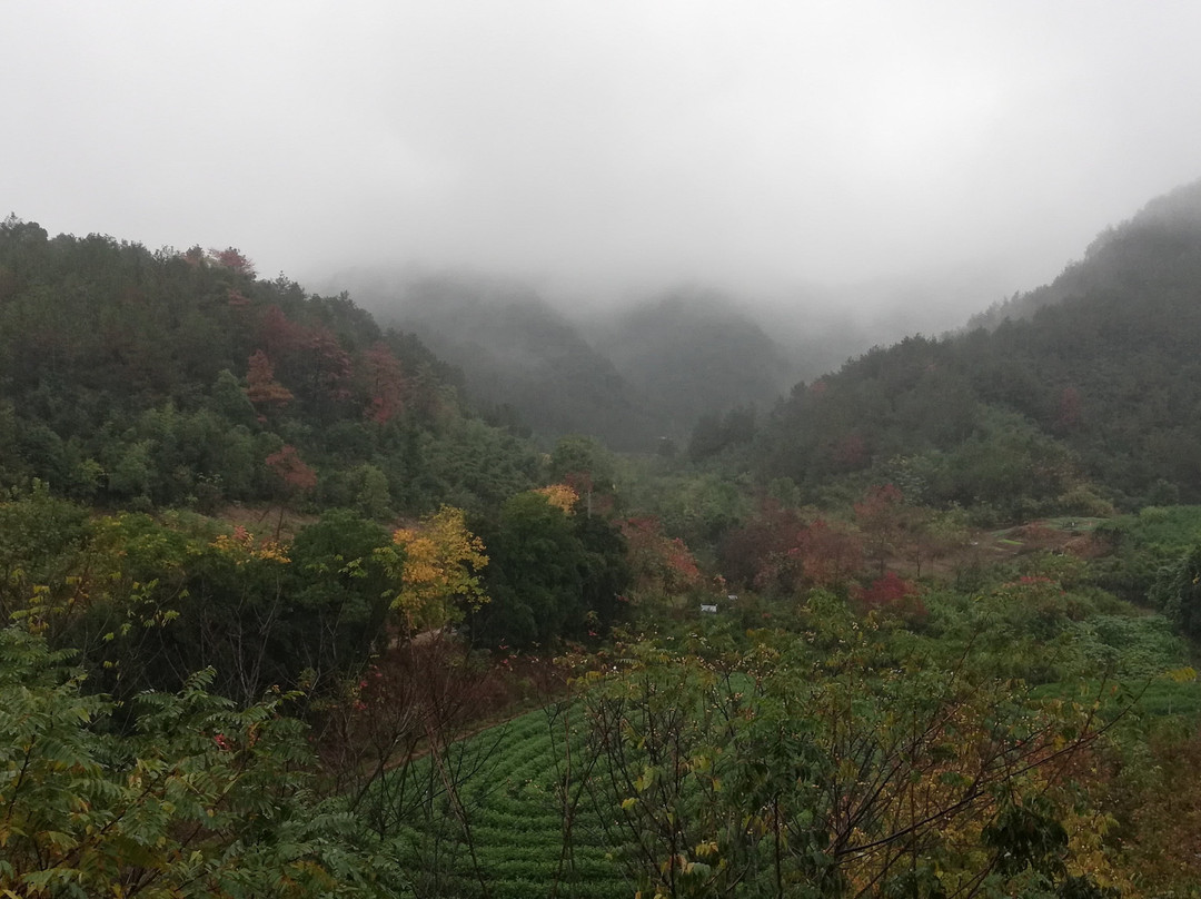 大学城商业街景点图片