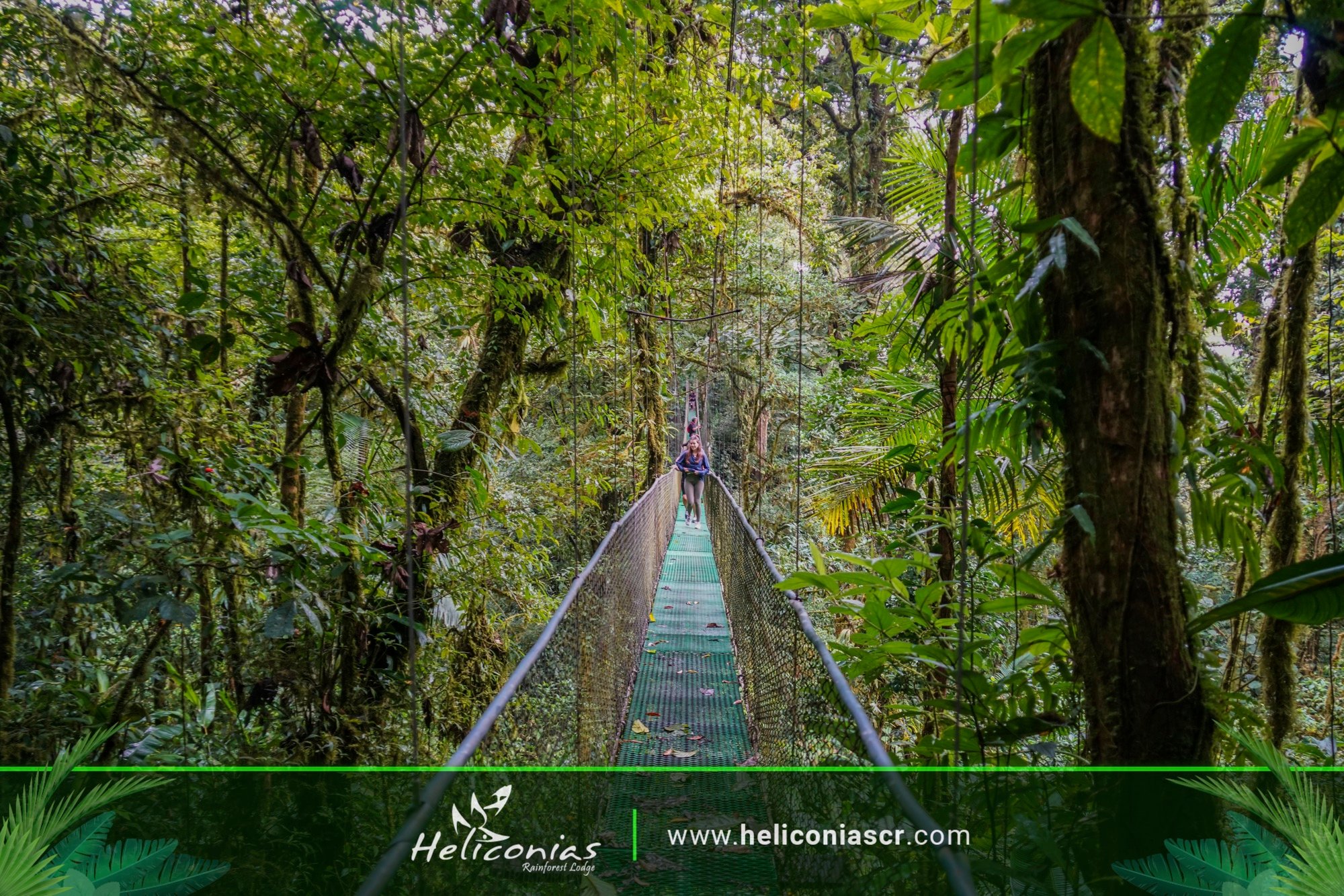 Heliconias Rainforest Lodge-官方