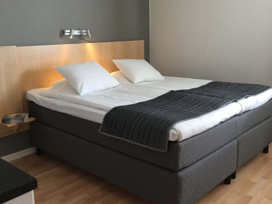 林雪平酒店住宿-Linkopings City Hotell and apartments