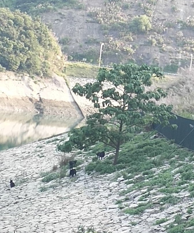 黑麋峰森林公园-望城县必去景点