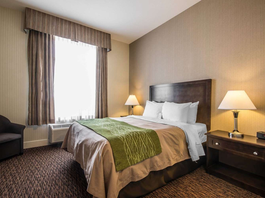Comfort Inn & Suites Surrey