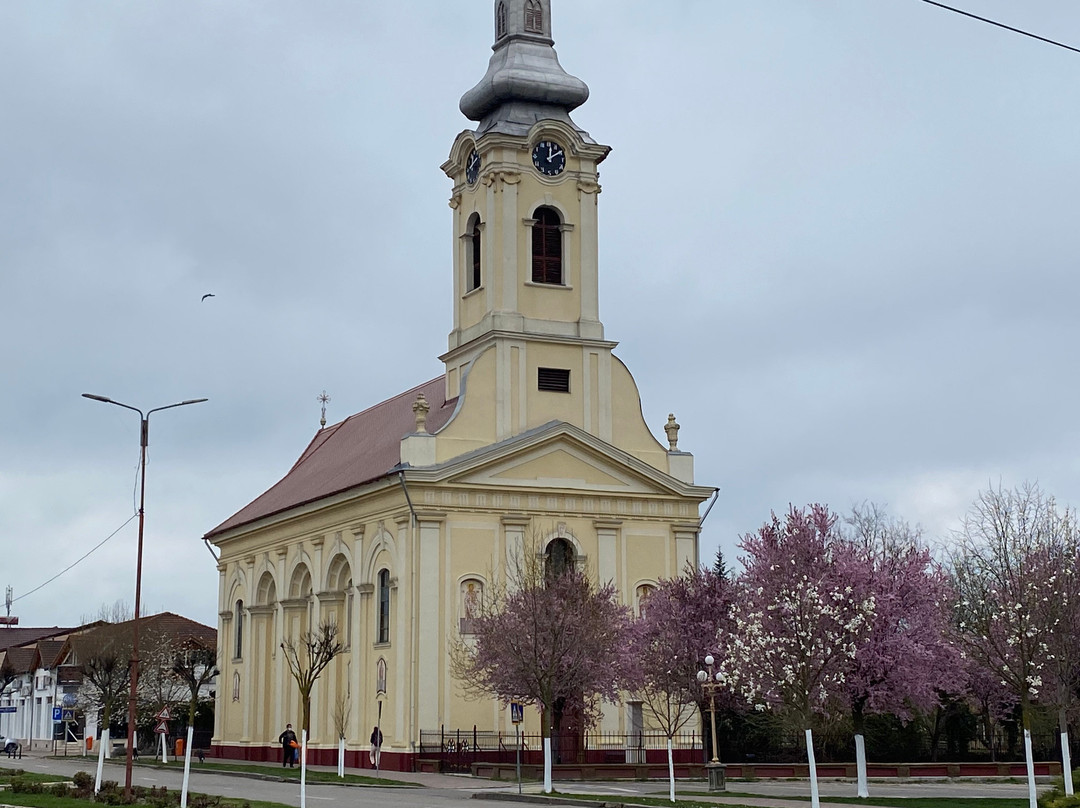 Biserica Sarbeasca景点图片