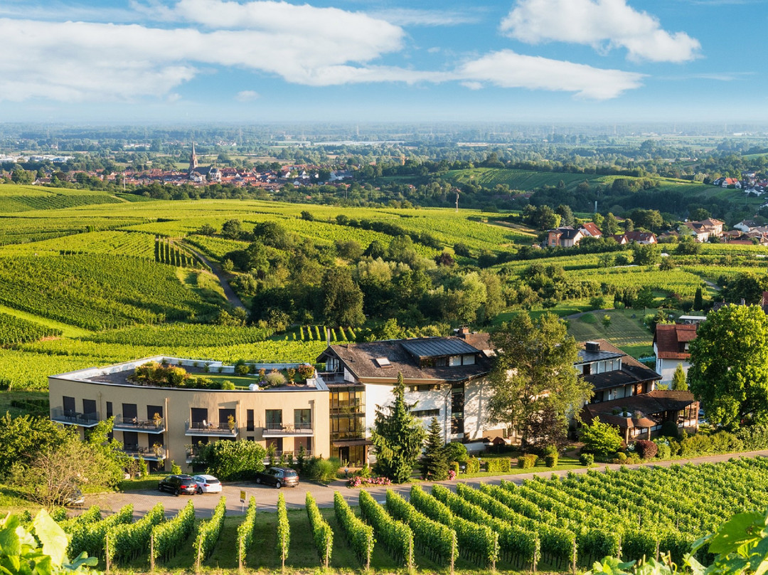 Neuweier旅游攻略图片