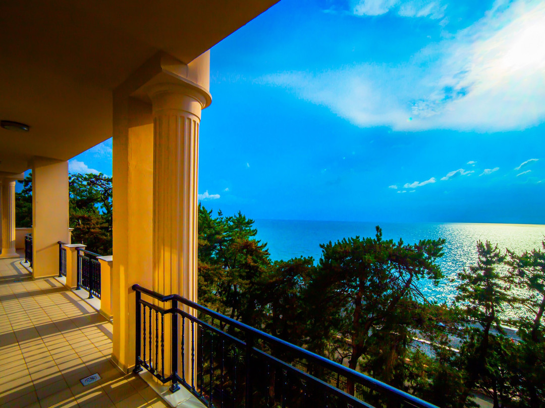 Georgia Palace Hotel & Spa Kobuleti主图