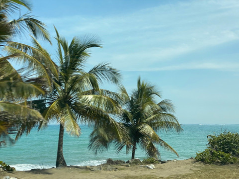 Jimmy's Tour & Taxi Service-多拉多必去景点