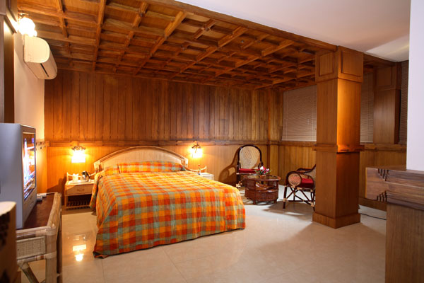 Vijaya Palace-客卧