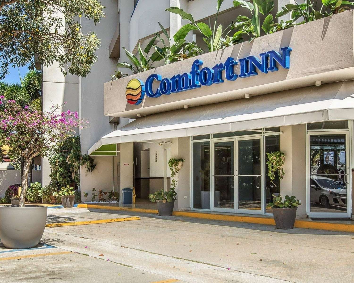 Comfort Inn & Suites-官方