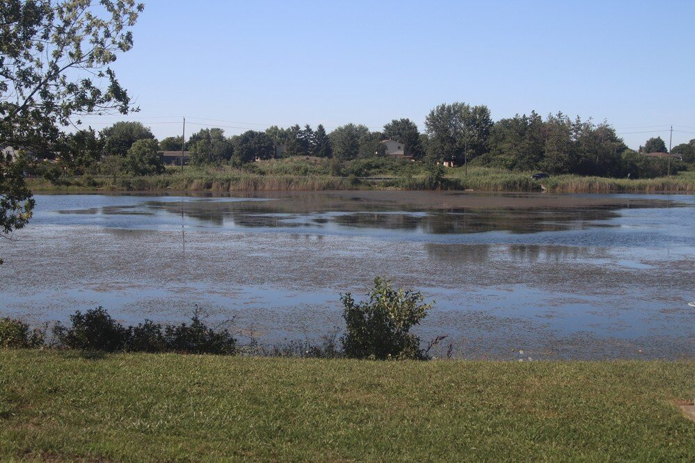 Beaverdams Village Park-Thorold必去景点