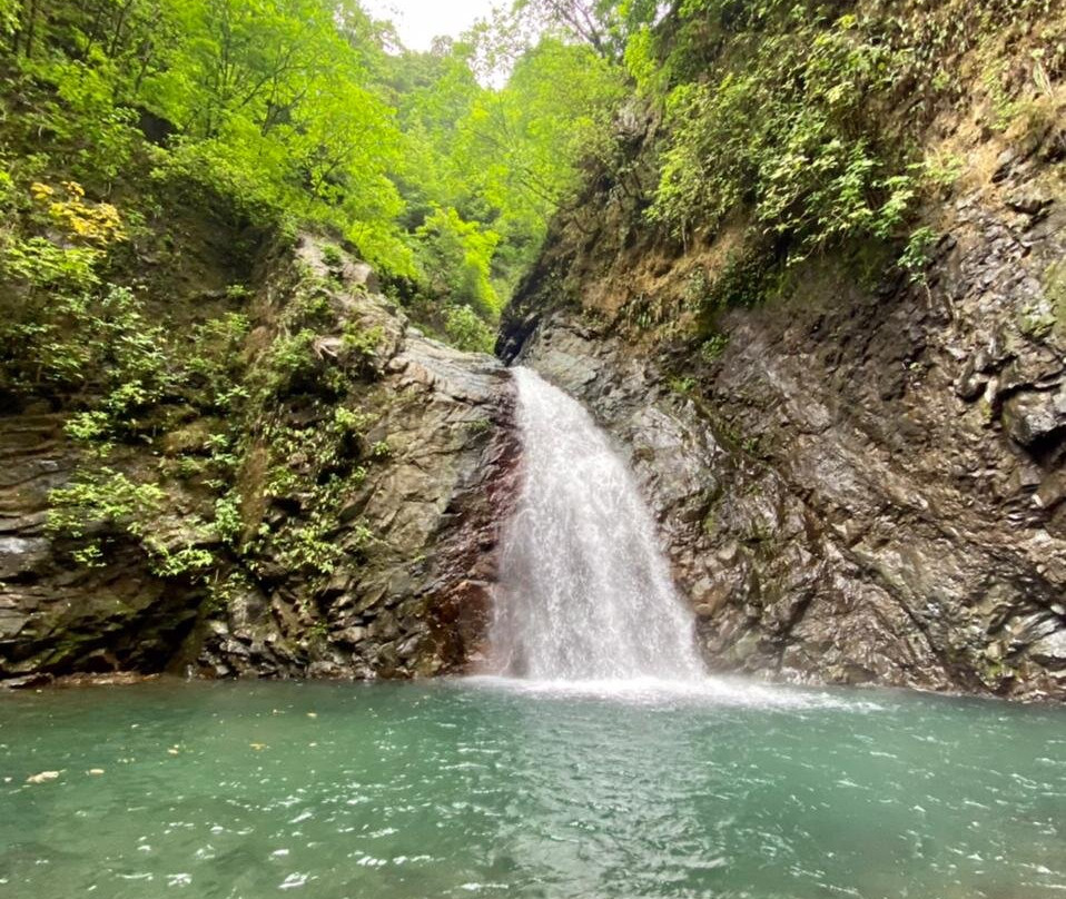 Cerro Hoya National Park景点图片