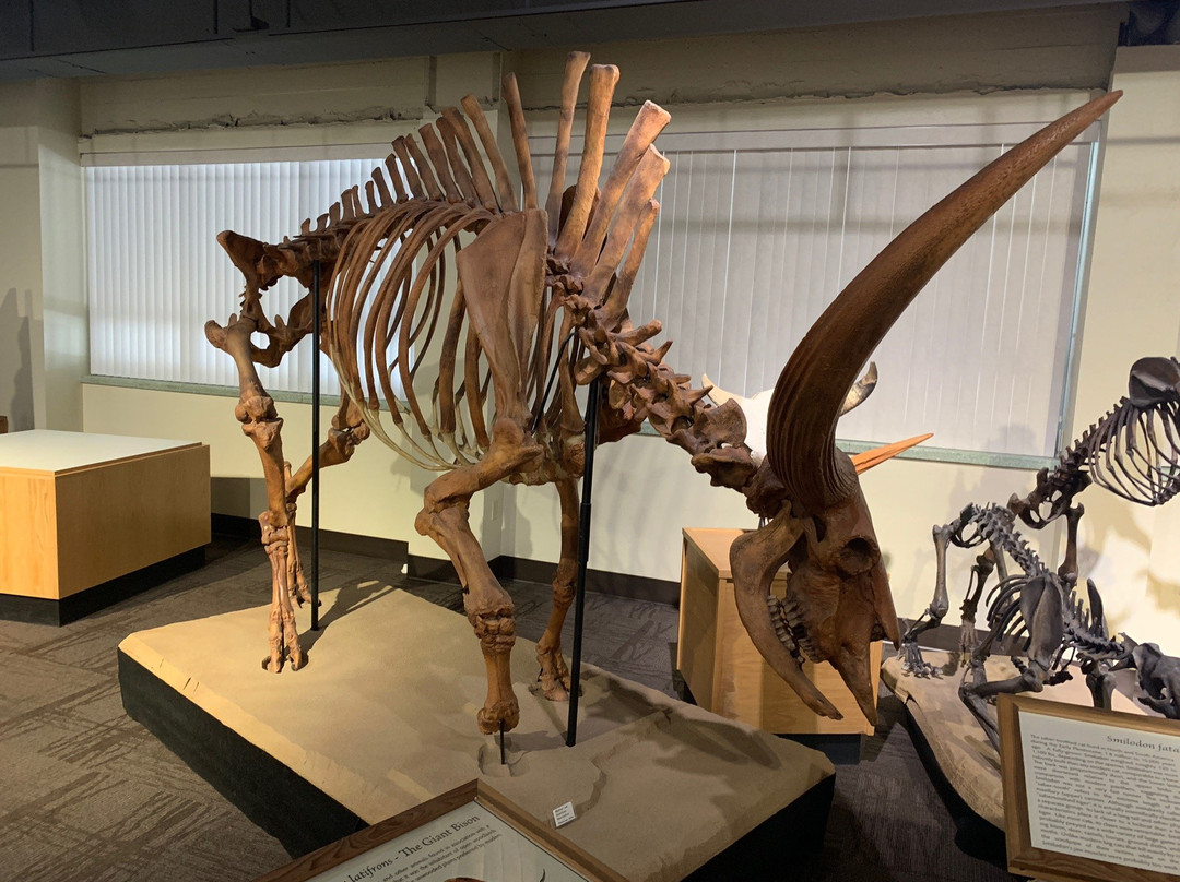 Idaho Museum of Natural History景点图片