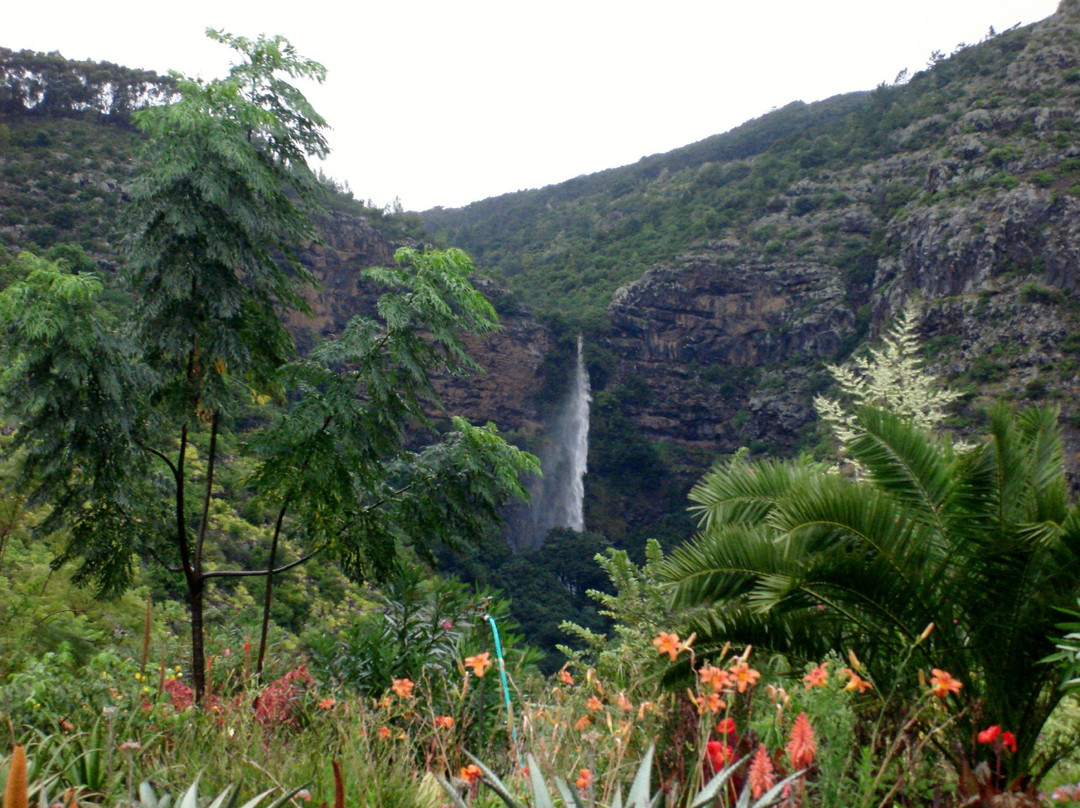 Heart Shaped Waterfall-St Helena Island必去景点