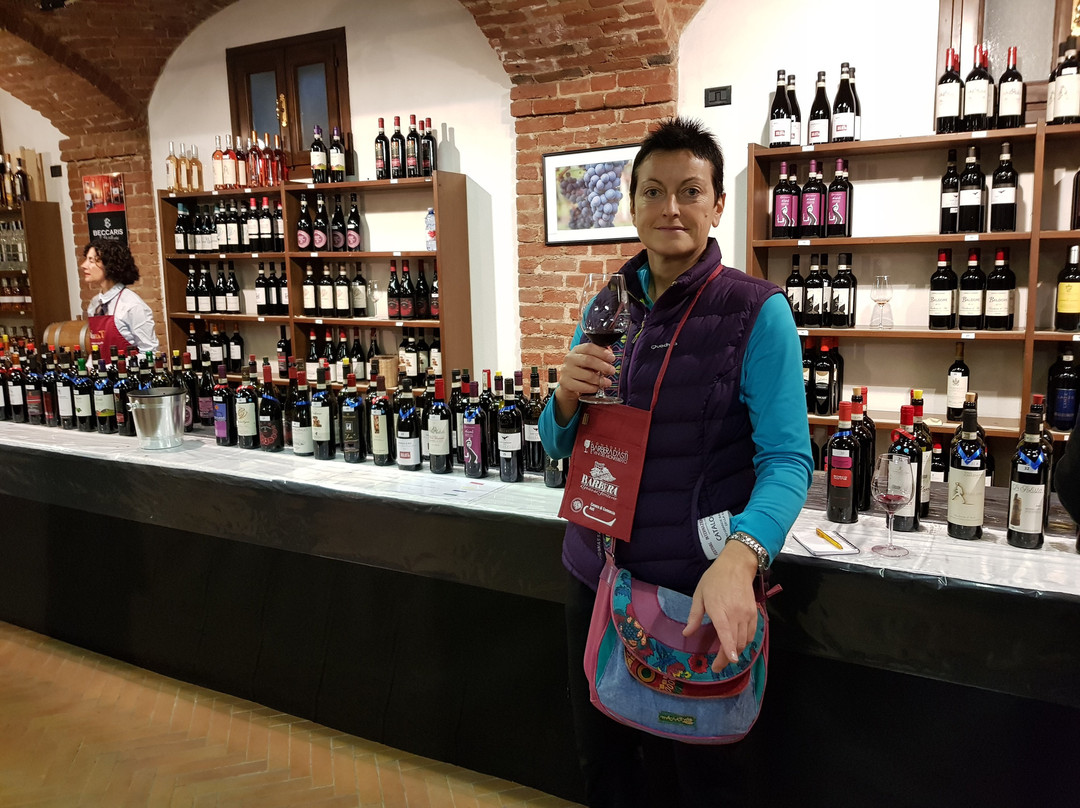 Cantine e Vigneti Anziano Felice景点图片