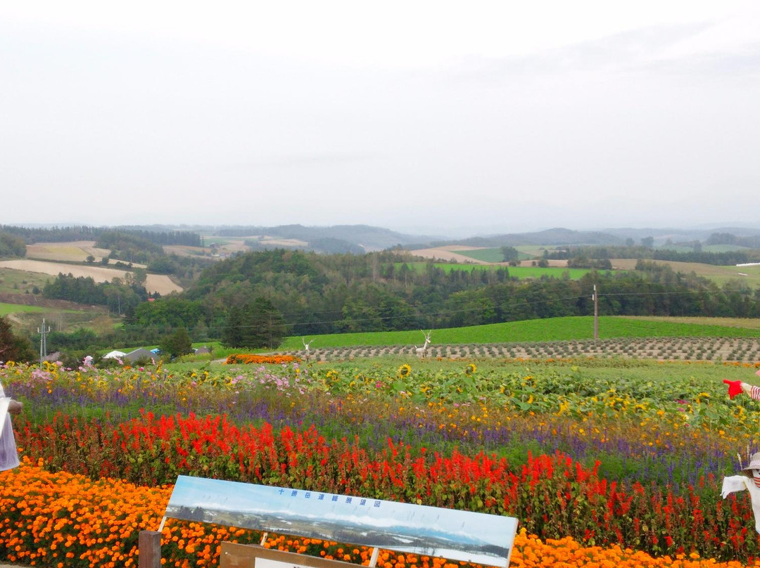 上富良野町旅游景点-Miyamatoge Art Park