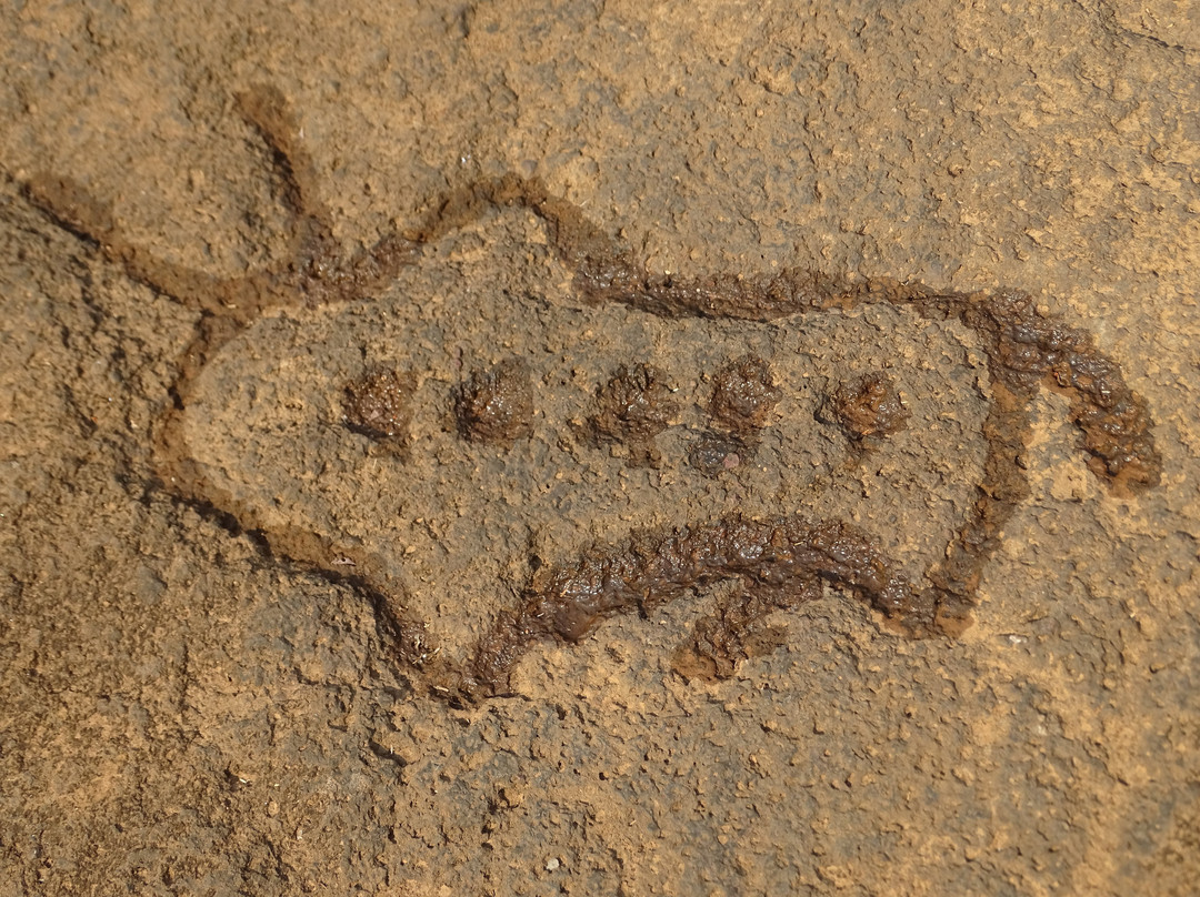 Prehistoric Rock Art Gallery景点图片