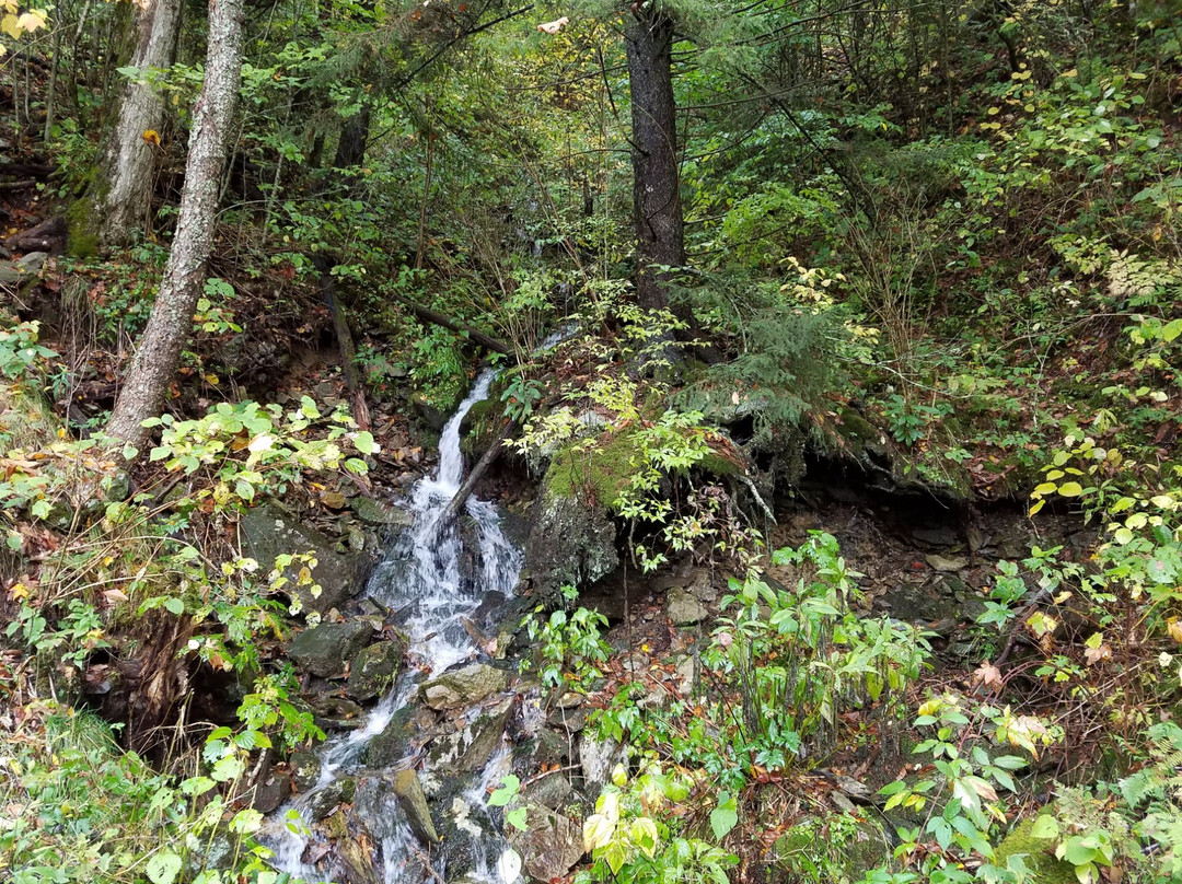 Balsam Mountain Road-大雾山国家公园必去景点