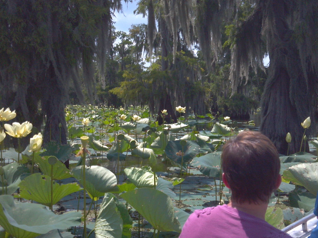Champagne's Cajun Swamp Tours景点图片
