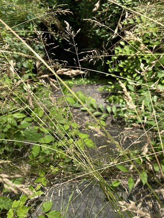 Merrimac Farm Wildlife Management Area景点图片