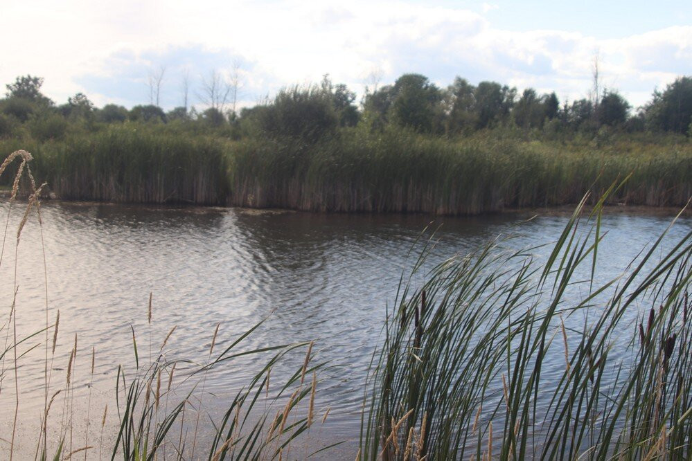 Station Road Naturalization Site, Wainfleet景点图片