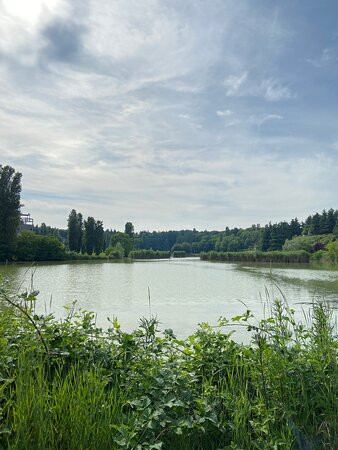 Parco del Lago Nord景点图片