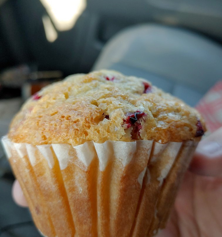 West Babylon餐馆和美食-Panera Bread