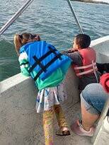 Dolphin Connection-Ingleside必去景点