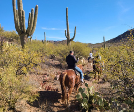 Colossal Cave Mountain Park-Vail必去景点