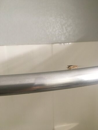 Microtel Inn & Suites by Wyndham Ardmore主图