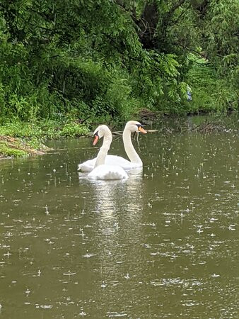 Elora Raft Rides-伊劳拉必去景点