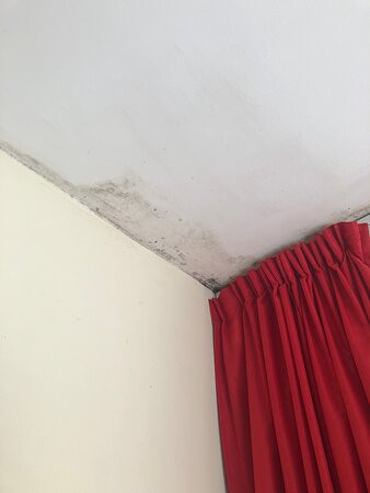 L'OSTREA Hotel主图