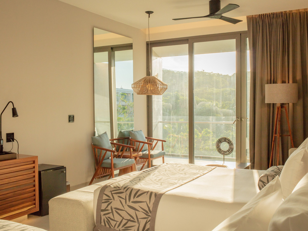 Dreams Bahia Mita Surf & Spa Resort主图