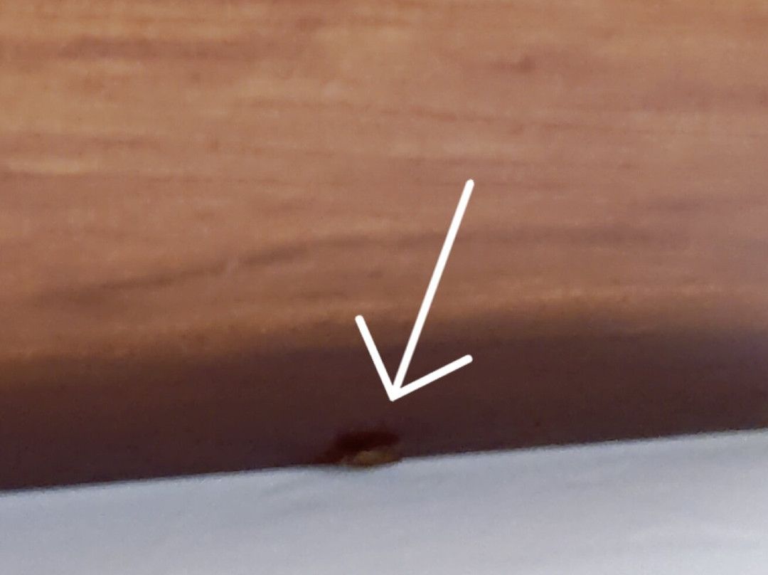 University Inn College Station