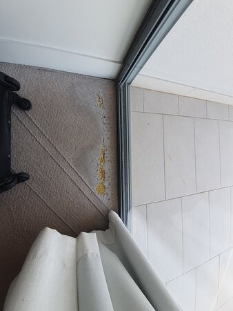 帕威里恩1770酒店主图