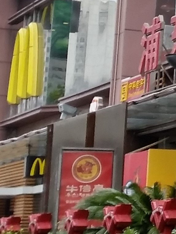麦当劳(张杨路店)
