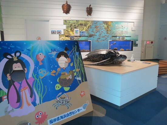Fukui Prefectural Seashore Nature Center景点图片