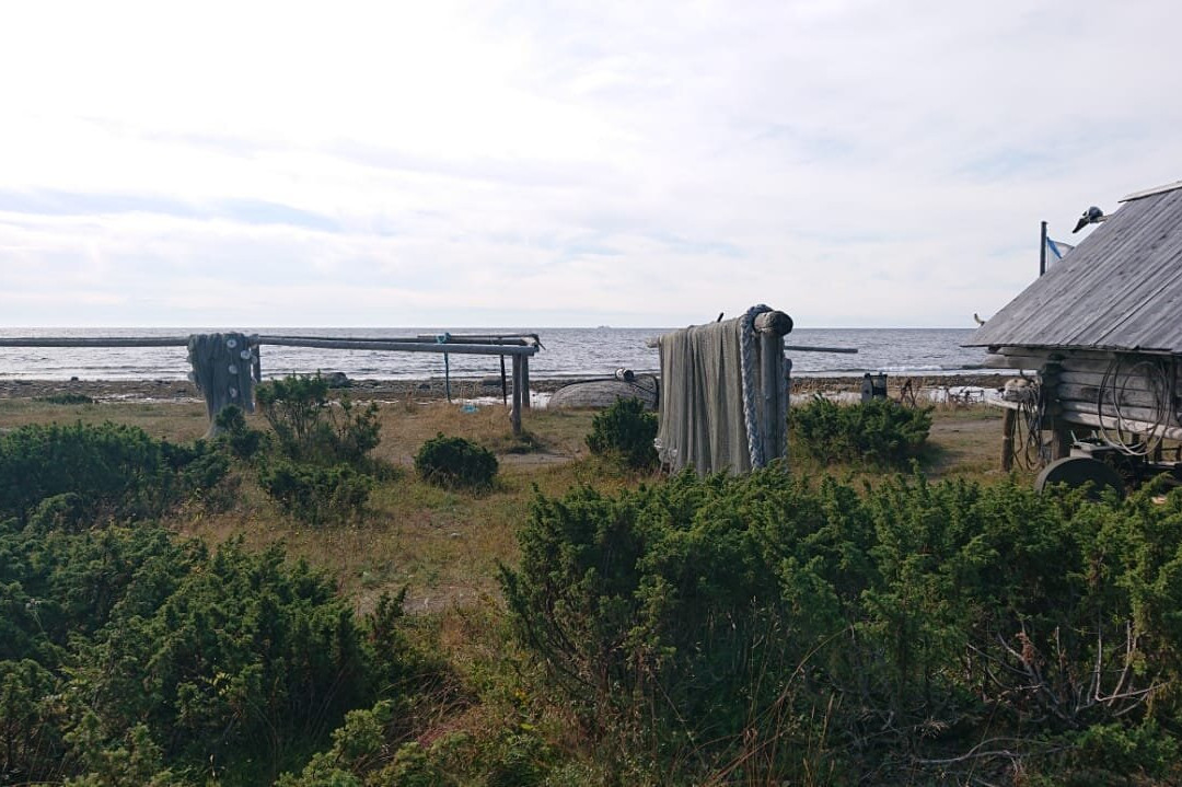 Open Air Museum Tonya Tetrina景点图片