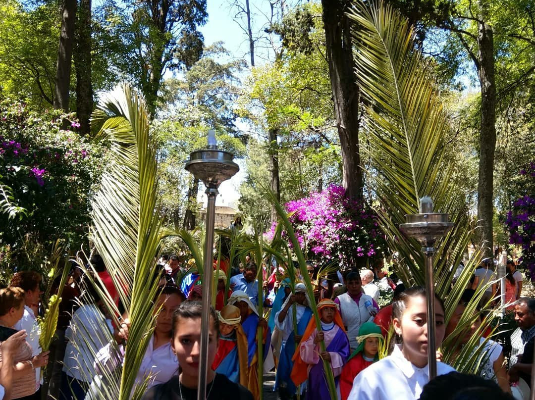 Ayenda Mesón del Río主图