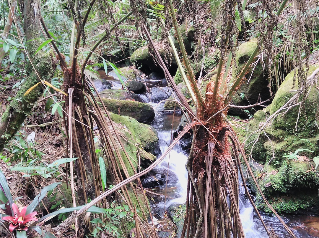 Ecopousada Joao Y Maria主图
