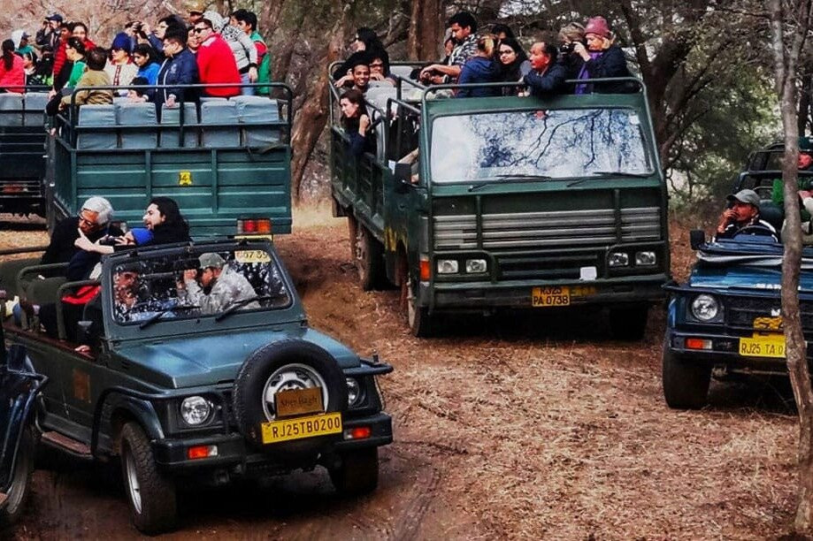 The Ranthambore National Park Safari-瑟瓦伊马托布尔必去景点