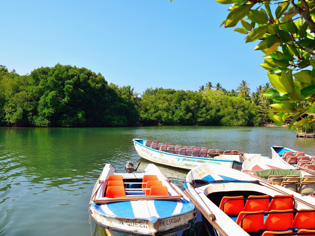 Chintha's Cooking Lessons Hikkaduwa-希克杜沃必去景点