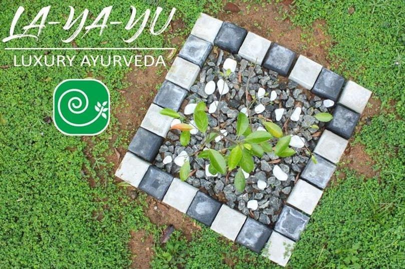 layayu ayurveda yoga retreats景点图片