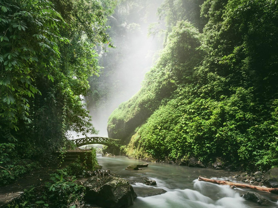 Kali Waterfall景点图片