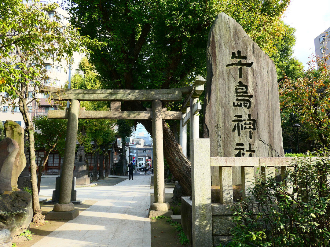 Ushijima Shrine景点图片