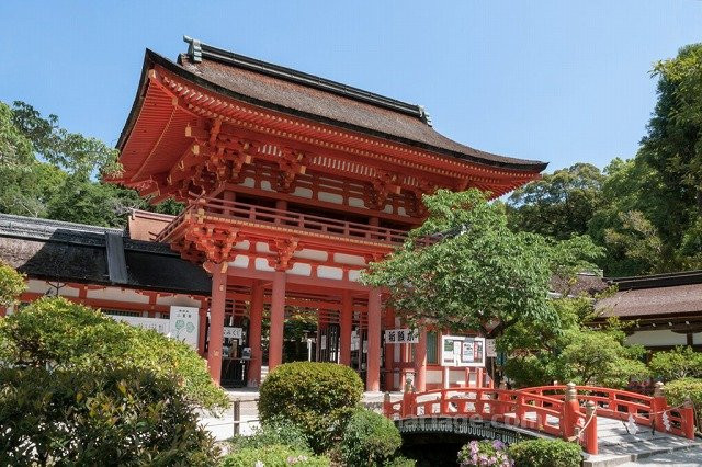 Mataro Doll Showroom