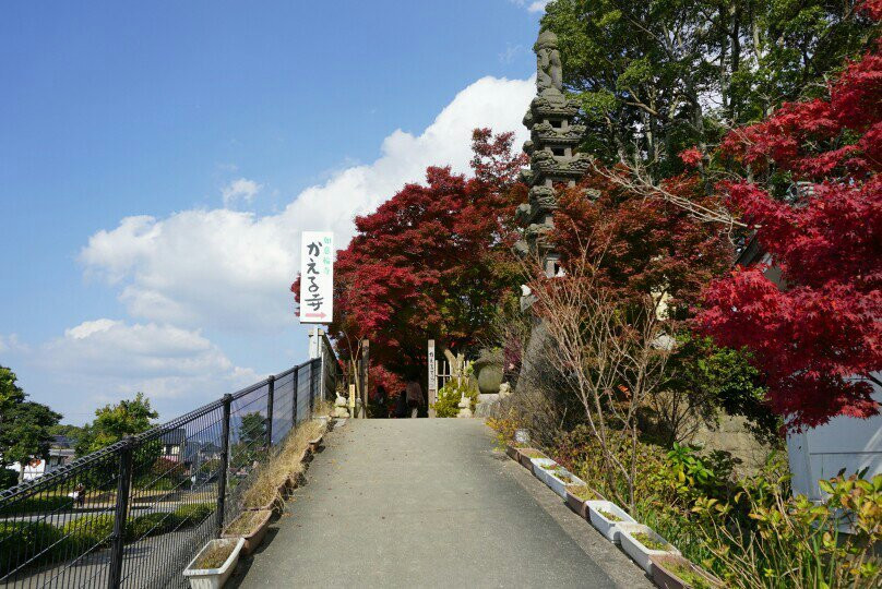 小郡市旅游攻略图片