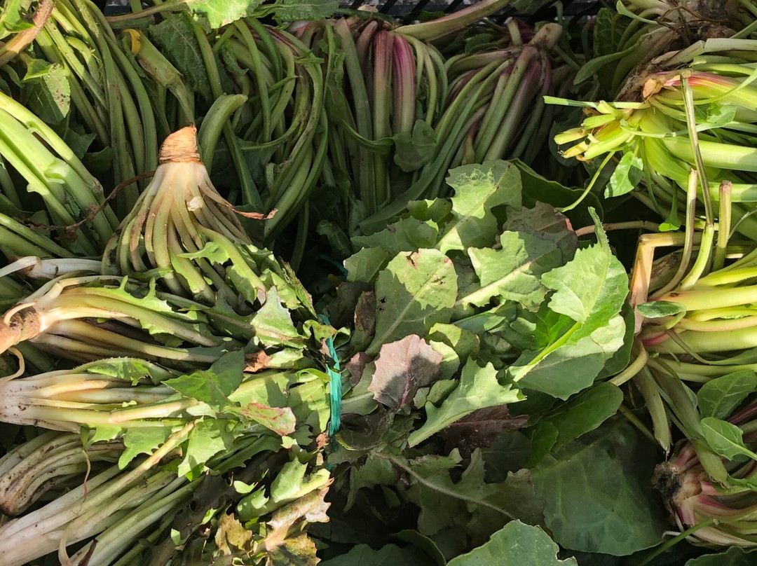 Grisi旅游攻略图片