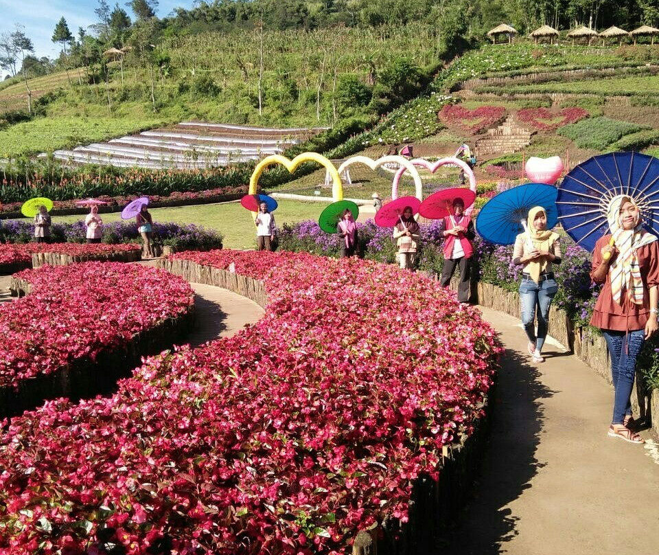 Kutabawa Flower Garden景点图片