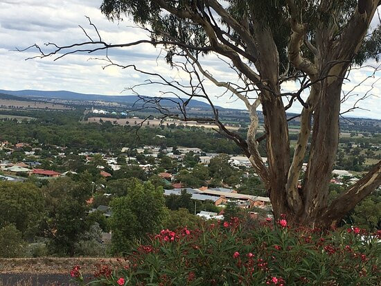 Memorial Hill Lookout景点图片