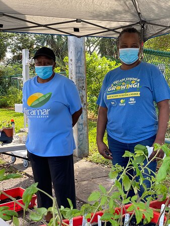 Miramar Community Garden-Miramar必去景点